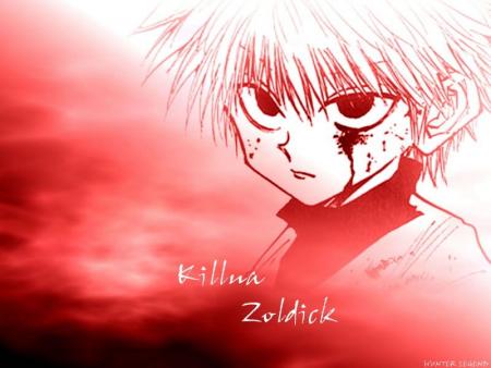 scan hxh